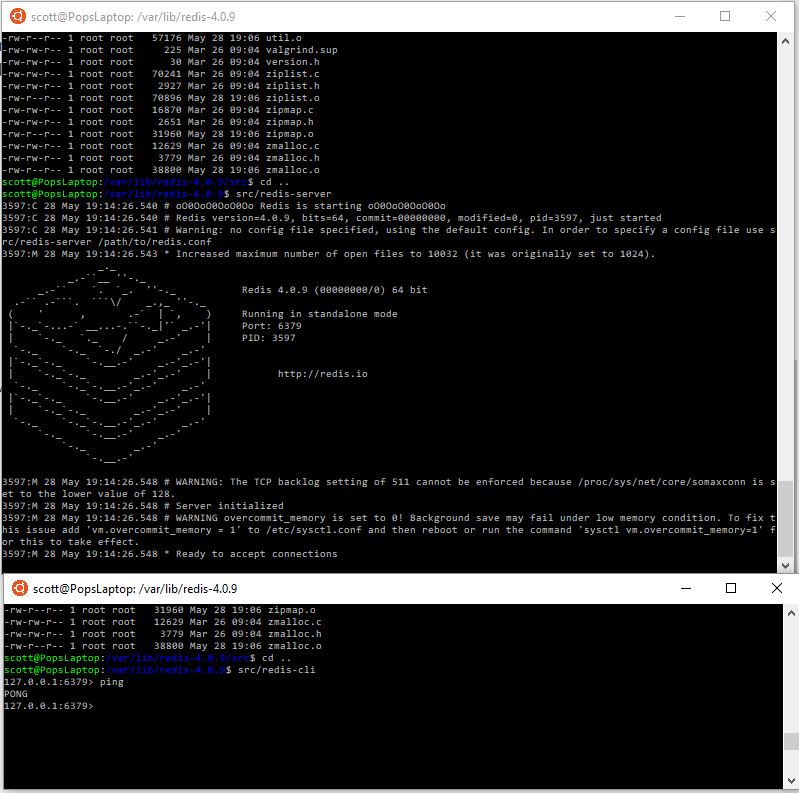 Redis Server & CLI consoles